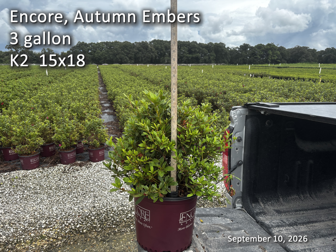 gallery/eemb3 k2 sept10.jpg